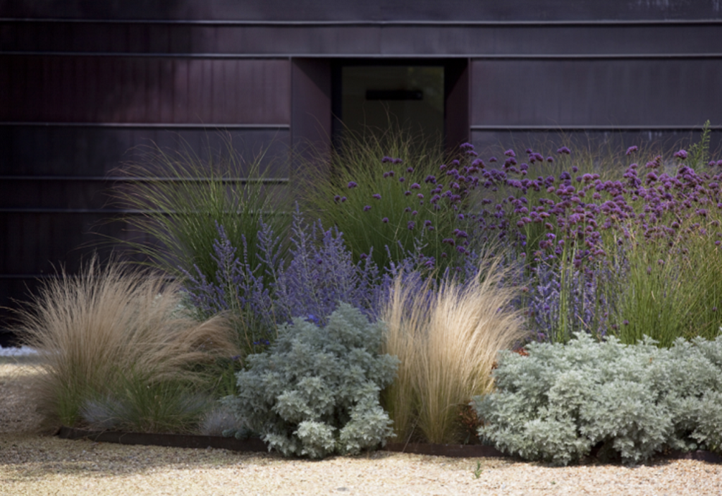 Using ornamental grasses to create a garden for all seasons