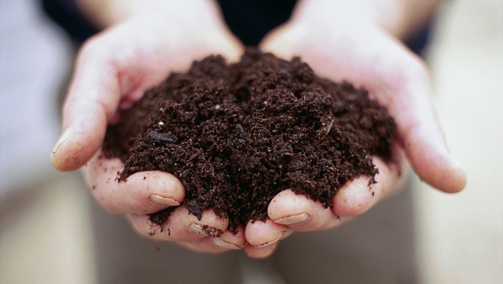 The importance of soil preparation